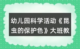 幼兒園科學(xué)活動《昆蟲的保護(hù)色》大班教案反思