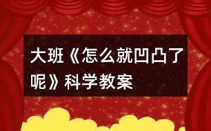 大班《怎么就凹凸了呢》科學(xué)教案