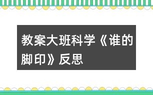 教案大班科學(xué)《誰的腳印》反思