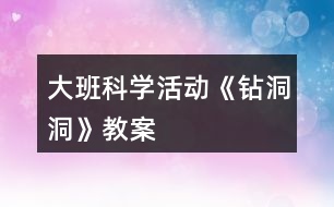 大班科學活動《鉆洞洞》教案