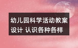 幼兒園科學(xué)活動教案設(shè)計 認(rèn)識各種各樣的飛機(jī)反思