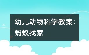 幼兒動物科學(xué)教案:螞蟻找家