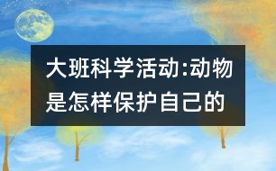 大班科學(xué)活動(dòng):動(dòng)物是怎樣保護(hù)自己的