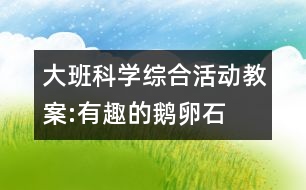 大班科學(xué)綜合活動教案:有趣的鵝卵石