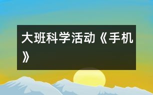 大班科學(xué)活動《手機(jī)》