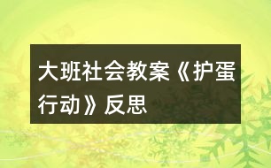 大班社會(huì)教案《護(hù)蛋行動(dòng)》反思