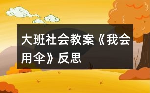 大班社會(huì)教案《我會(huì)用傘》反思