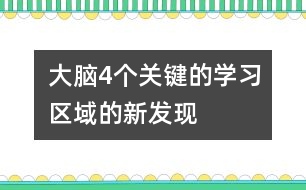 大腦4個關鍵的學習區(qū)域的新發(fā)現(xiàn)