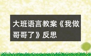 大班語(yǔ)言教案《我做哥哥了》反思