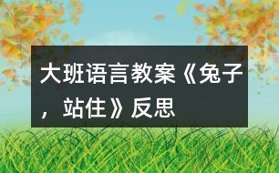 大班語言教案《兔子，站住》反思