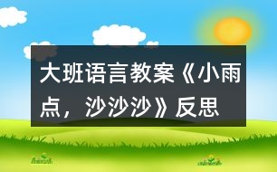 大班語言教案《小雨點(diǎn)，沙沙沙》反思