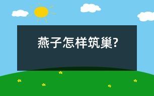 燕子怎樣筑巢?