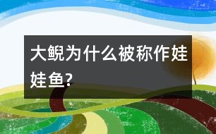 大鯢為什么被稱作“娃娃魚”?