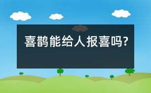 喜鵲能給人報(bào)喜嗎?