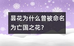 曇花為什么曾被命名為“亡國(guó)之花”？