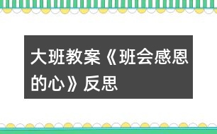 大班教案《班會(huì)感恩的心》反思