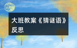 大班教案《猜謎語(yǔ)》反思