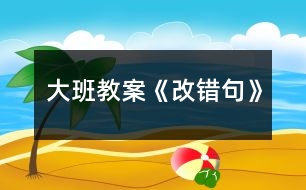 大班教案《改錯(cuò)句》