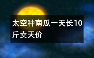 太空種南瓜一天長10斤賣天價(jià)