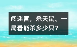 闖迷宮，殺天鼠。一局看能殺多少只？